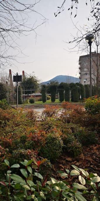 Blue Breeze Apartment Germignaga Εξωτερικό φωτογραφία
